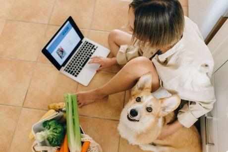 A young woman looking at her laptop searching if Klarna will affect a credit score.